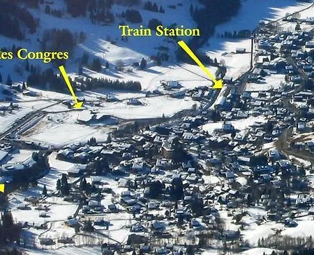 Eurotel Victoria Les Diablerets Superior 